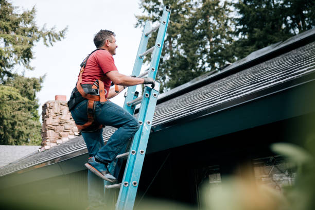 Best Roof Maintenance and Cleaning  in Bear Creek, AK